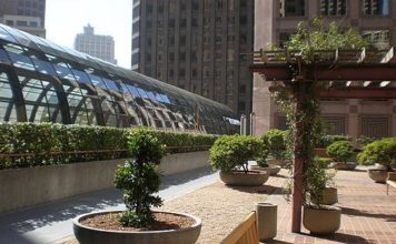 Giardini pensili 893 0 GIARDINO PENSILE